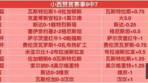 芬超深度解析体育赛事：格尼斯坦埃尔维斯对决全攻略